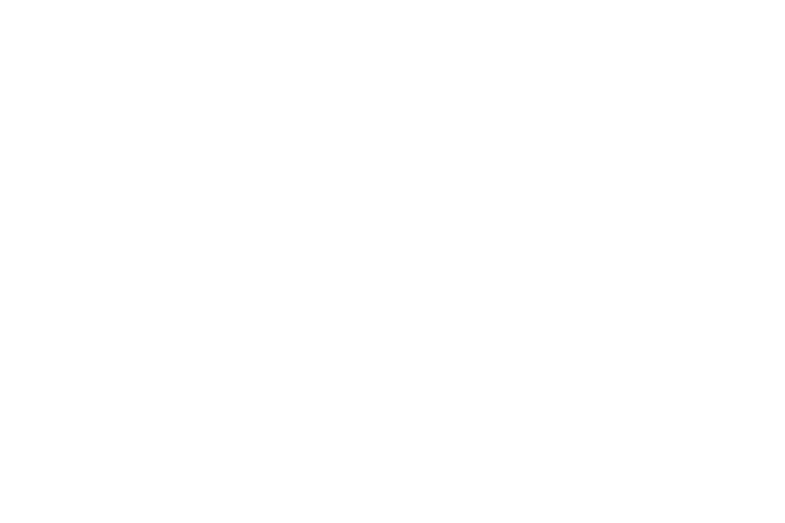 Polizze Real Estate Company