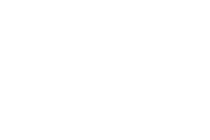 Polizze Real Estate Company Florida Keys